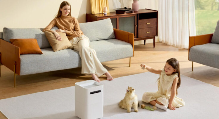 Choosing an air humidifier for your apartment: useful tips and successful models
