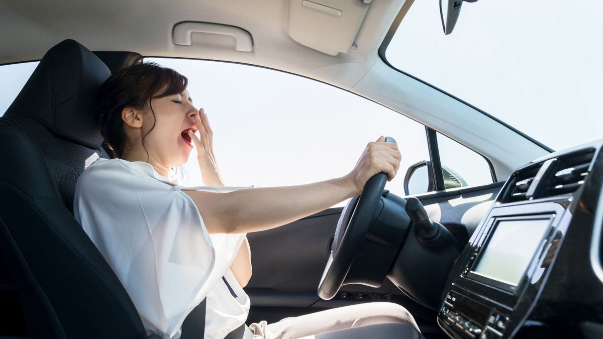 Excessive sleepiness: these signs that should alert you in the car