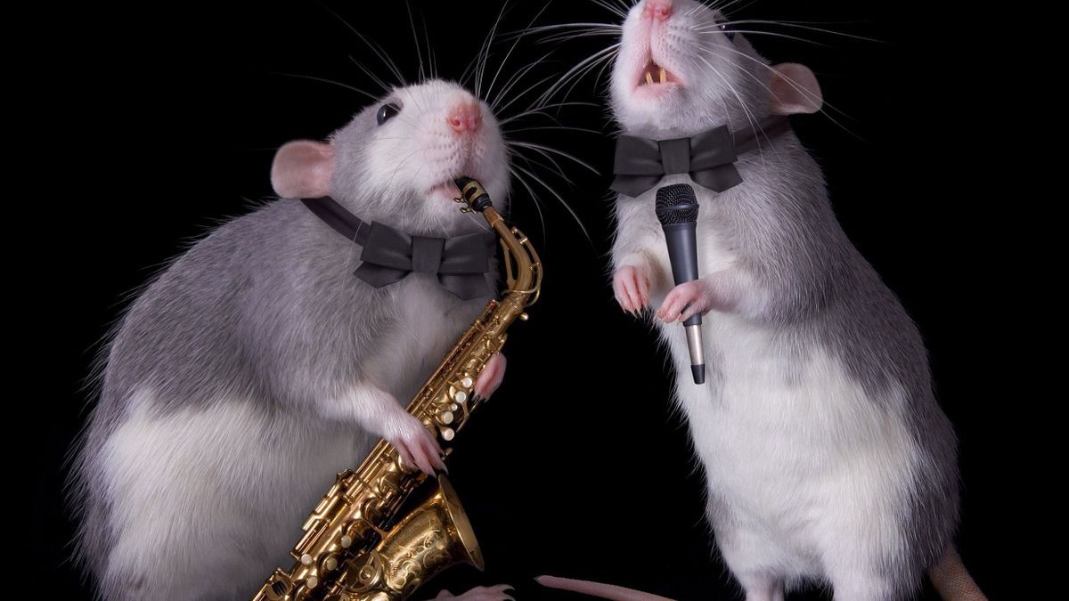 Music would help mice be less depressed