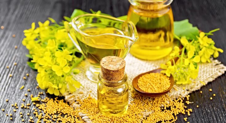 The benefits of mustard oil: how to take it and not harm the body