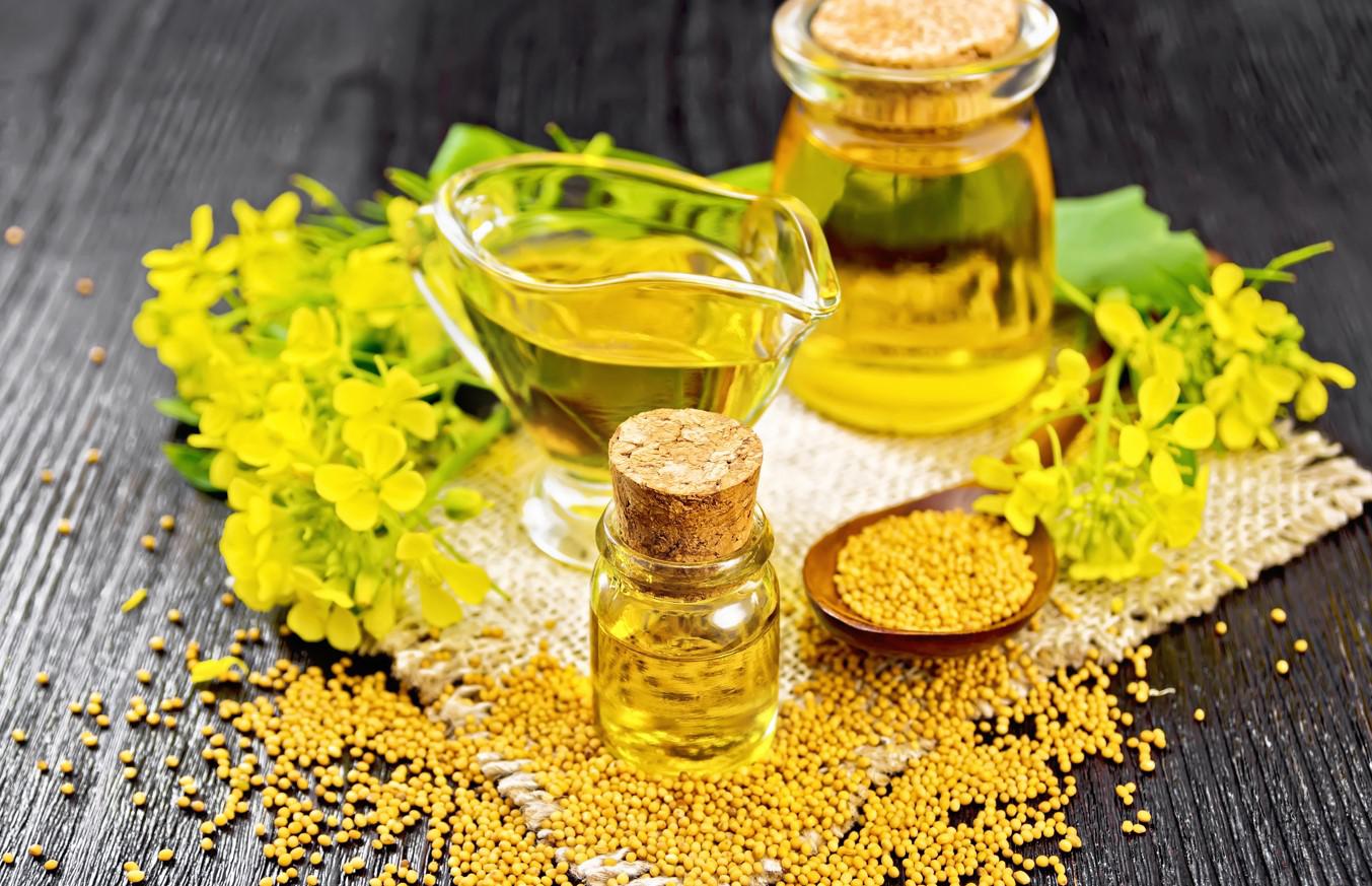 The benefits of mustard oil: how to take it and not harm the body