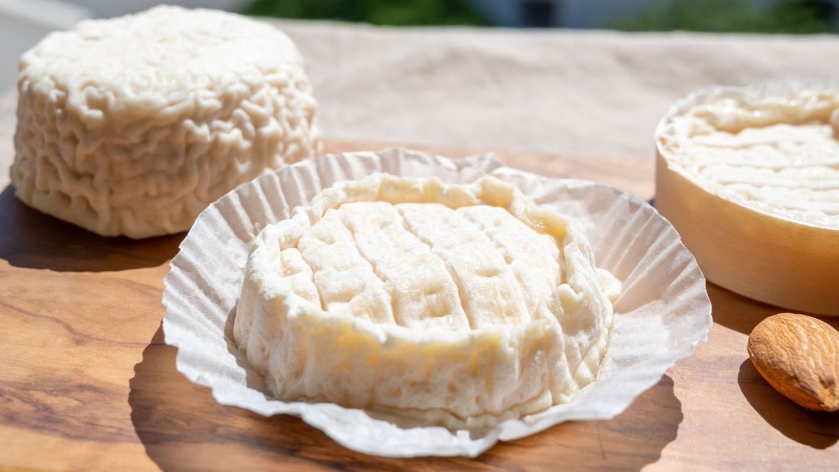 Product recall: be careful, this cheese is contaminated with salmonella