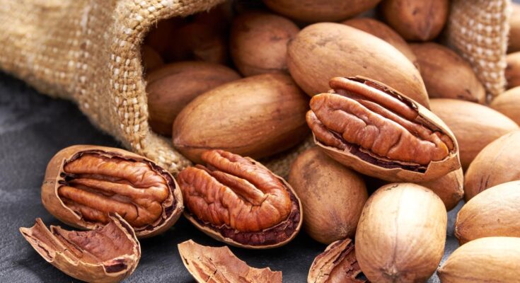 Benefits of pecan nuts: 4 properties