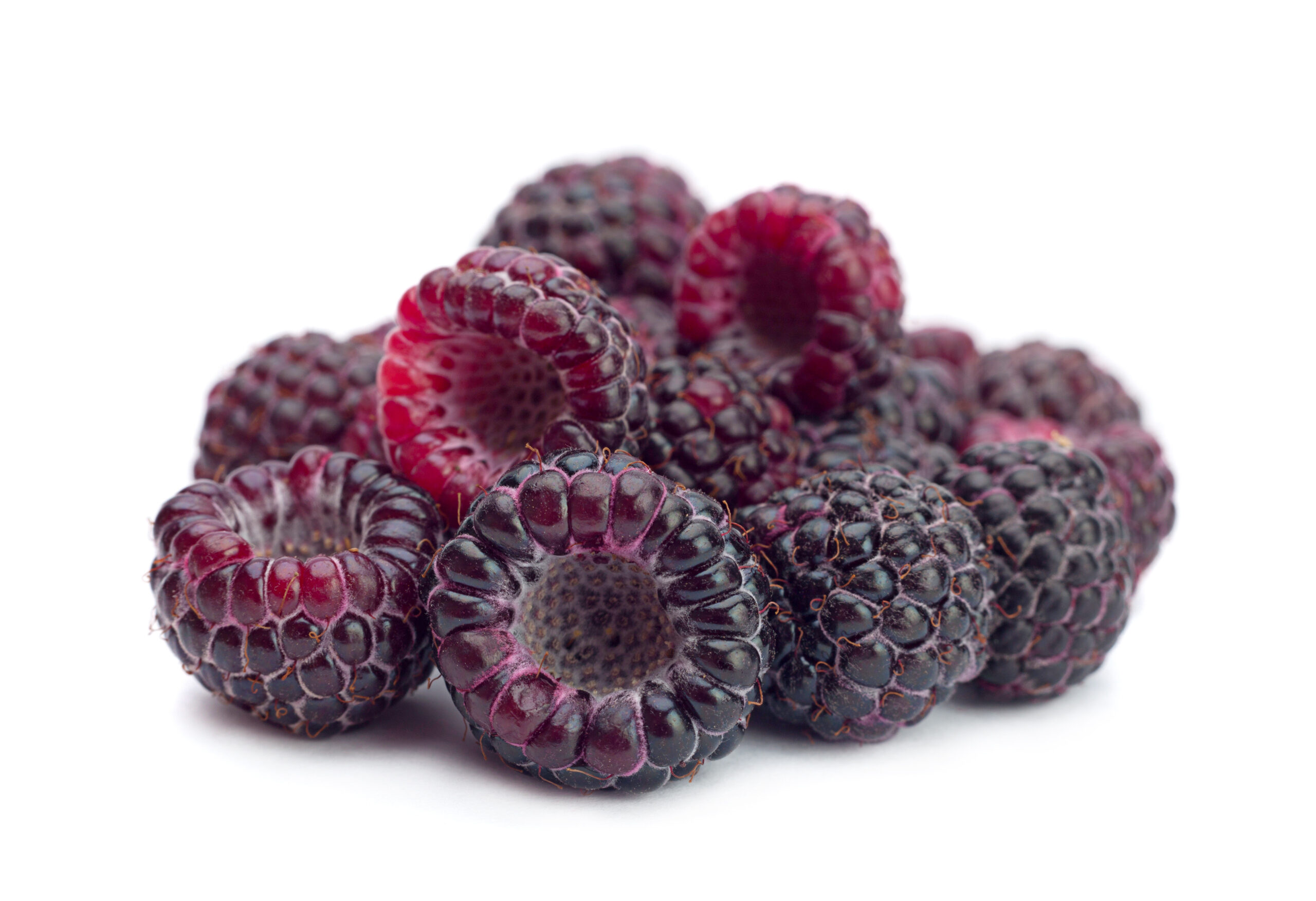 Black raspberries against Alzheimer's, obesity, infections and inflammation