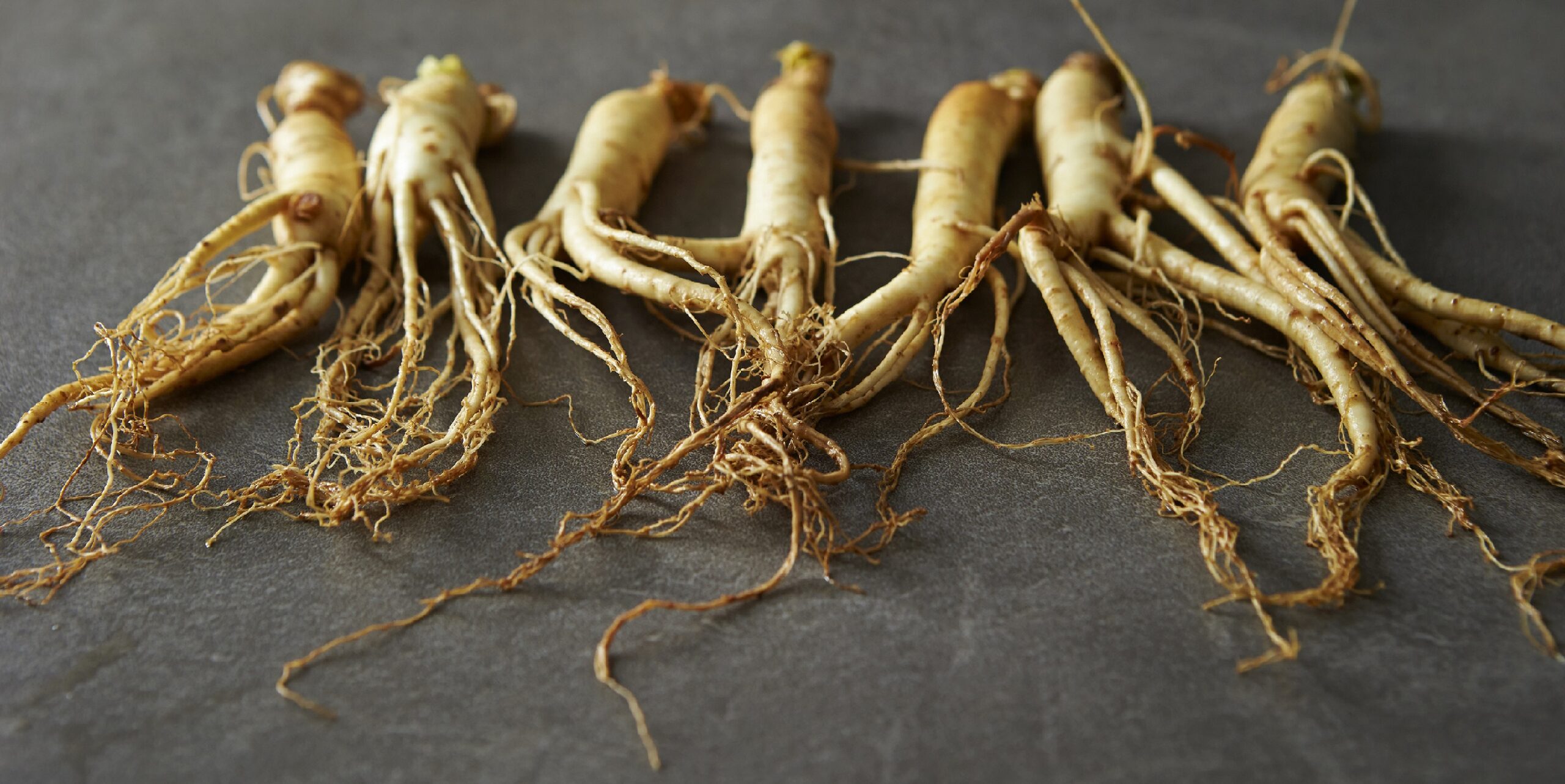 Ginseng reduces muscle damage and improves recovery after exercise