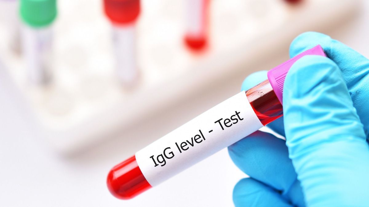 IgG: definition, role and level of immunoglobulin G