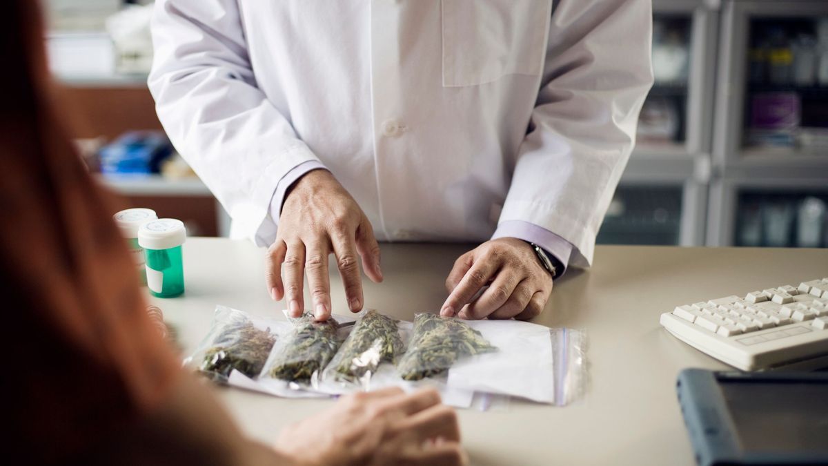 Medical cannabis: treatments available from 2025 according to the drug agency