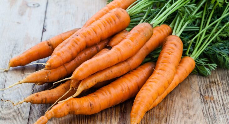 Nutrition: Carrots are anti-diabetic, lower blood pressure and cholesterol