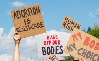 The Senate gives the green light to the inclusion of abortion in the Constitution