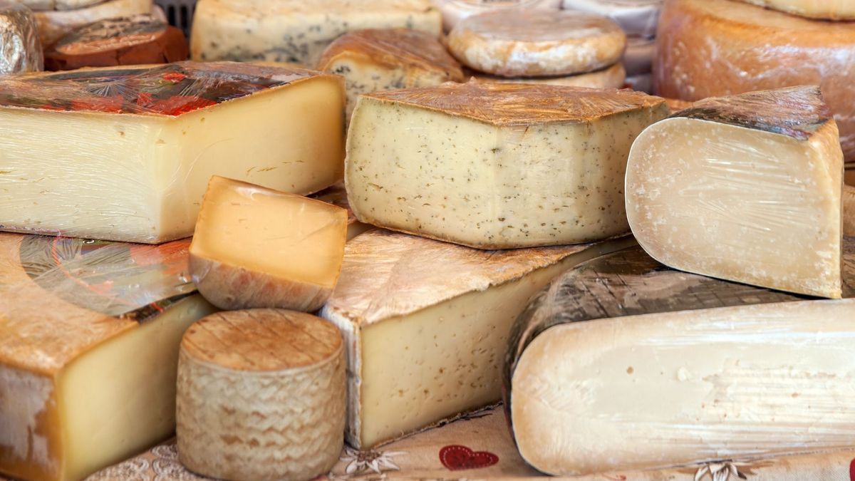 Alert: recall of many cheeses contaminated with listeria