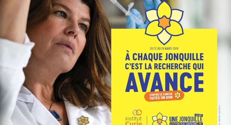 A Daffodil Against Cancer: the Institut Curie campaign celebrates its 20th anniversary