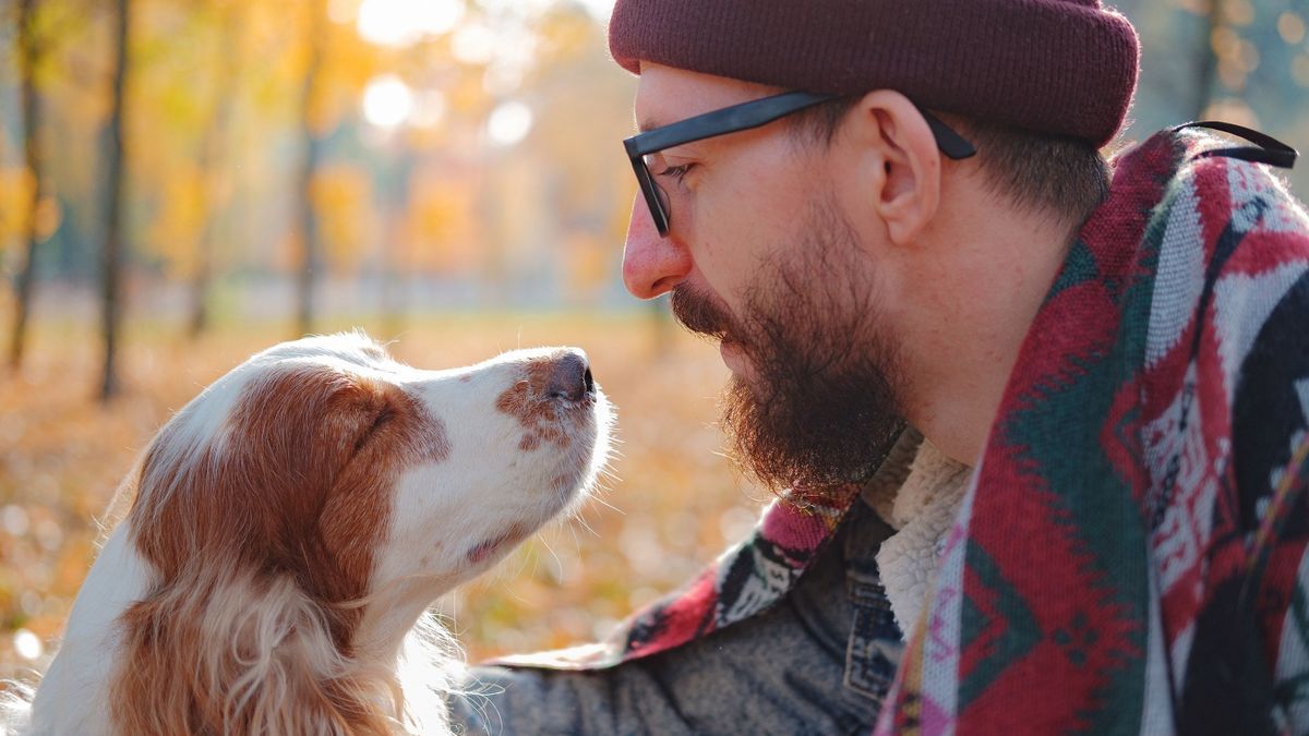 Dogs may recognize post-traumatic stress through their sense of smell