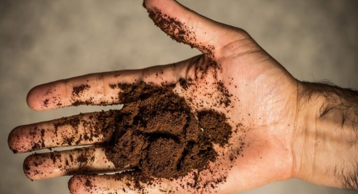 Elastic and firm skin at your fingertips.  Just use coffee grounds