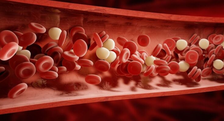 How gene therapy transformed the lives of sickle cell patients