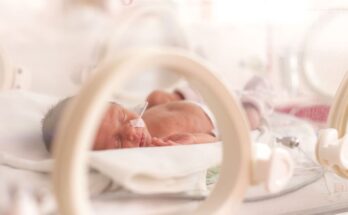 Premature baby: everything you need to know about hospitalization in neonatal intensive care