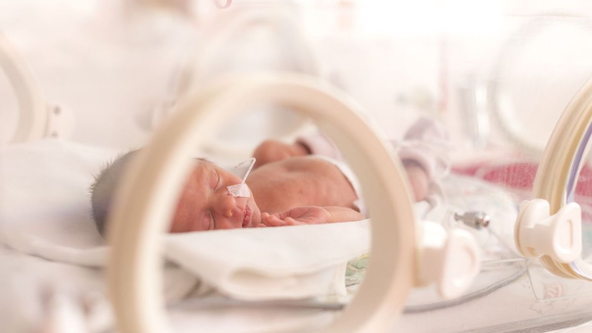 Premature baby: everything you need to know about hospitalization in neonatal intensive care