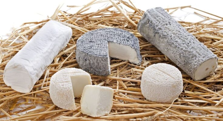 Attention !  These goat cheeses are recalled throughout France