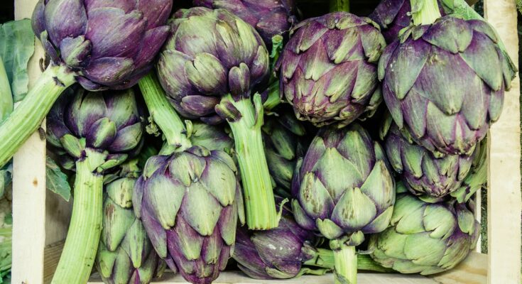 Artichokes – ingredients, effects and application
