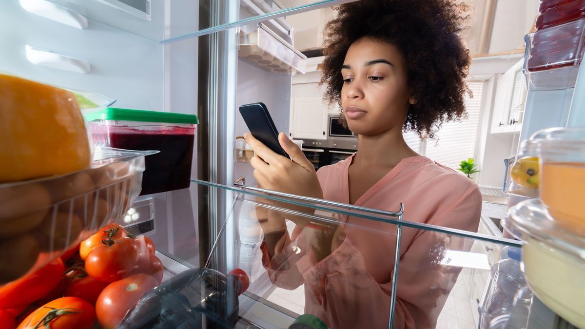 AI to put an end to food left at the bottom of the fridge