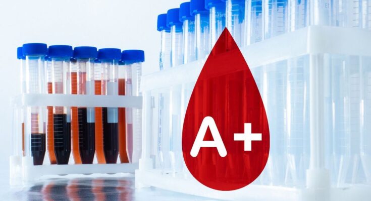 Blood group A+ (positive) or A- (negative): definition, differences and distribution