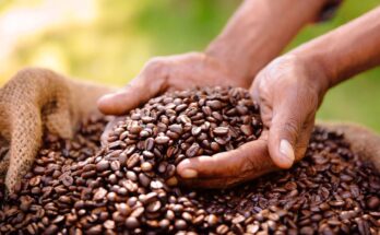 Fair trade continues to attract consumers in France