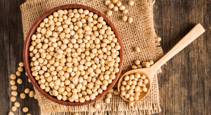 Fermented soybeans effectively relieve menopausal symptoms