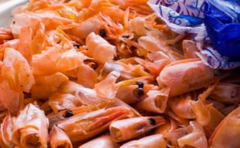 Haro on shrimp and other shellfish which contain more eternal pollutants than fish