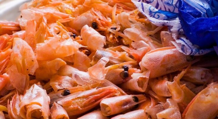 Haro on shrimp and other shellfish which contain more eternal pollutants than fish