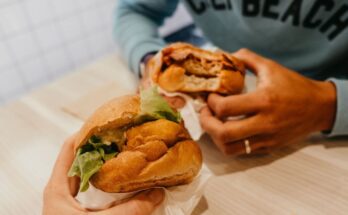 Vegan burgers increase the risk of diabetes and heart problems