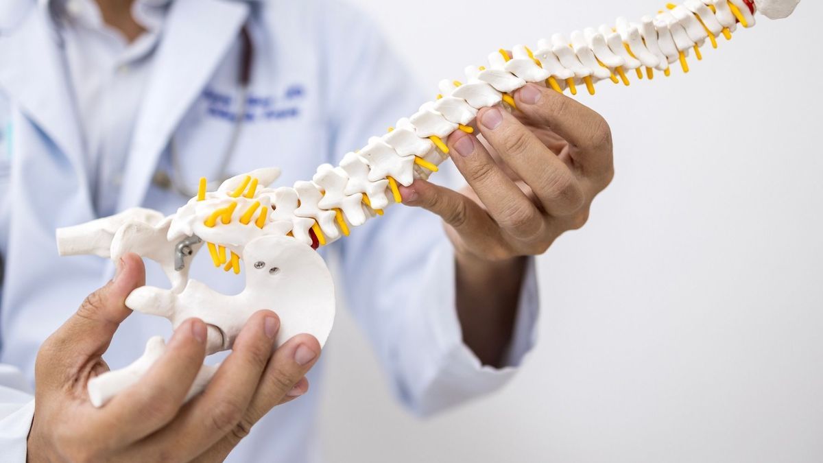 Zygapophyseal osteoarthritis: what to do against this back pain
