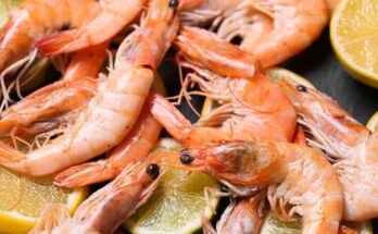 Recall of whole cooked shrimp from Lidl