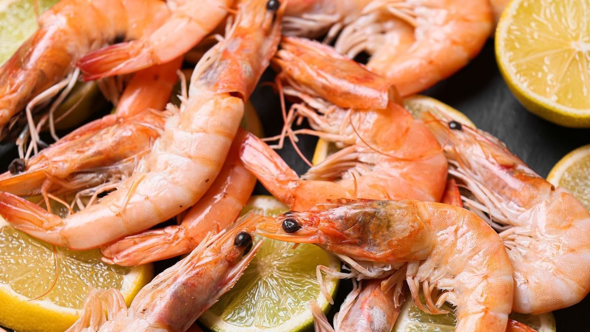 Recall of whole cooked shrimp from Lidl