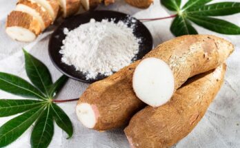 Cassava flour: uses and health benefits