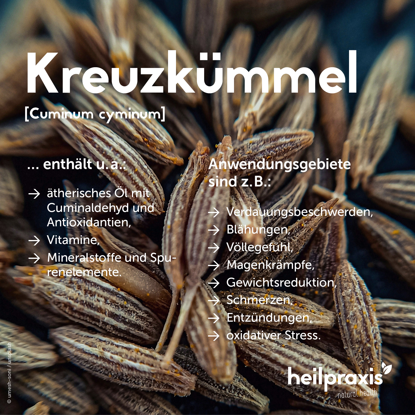 Overview graphic of the ingredients and use of cumin