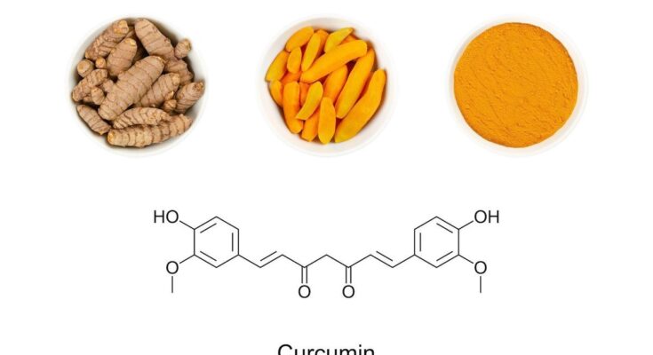 E100: everything you need to know about curcumin!
