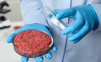 Florida in turn bans lab-grown meat