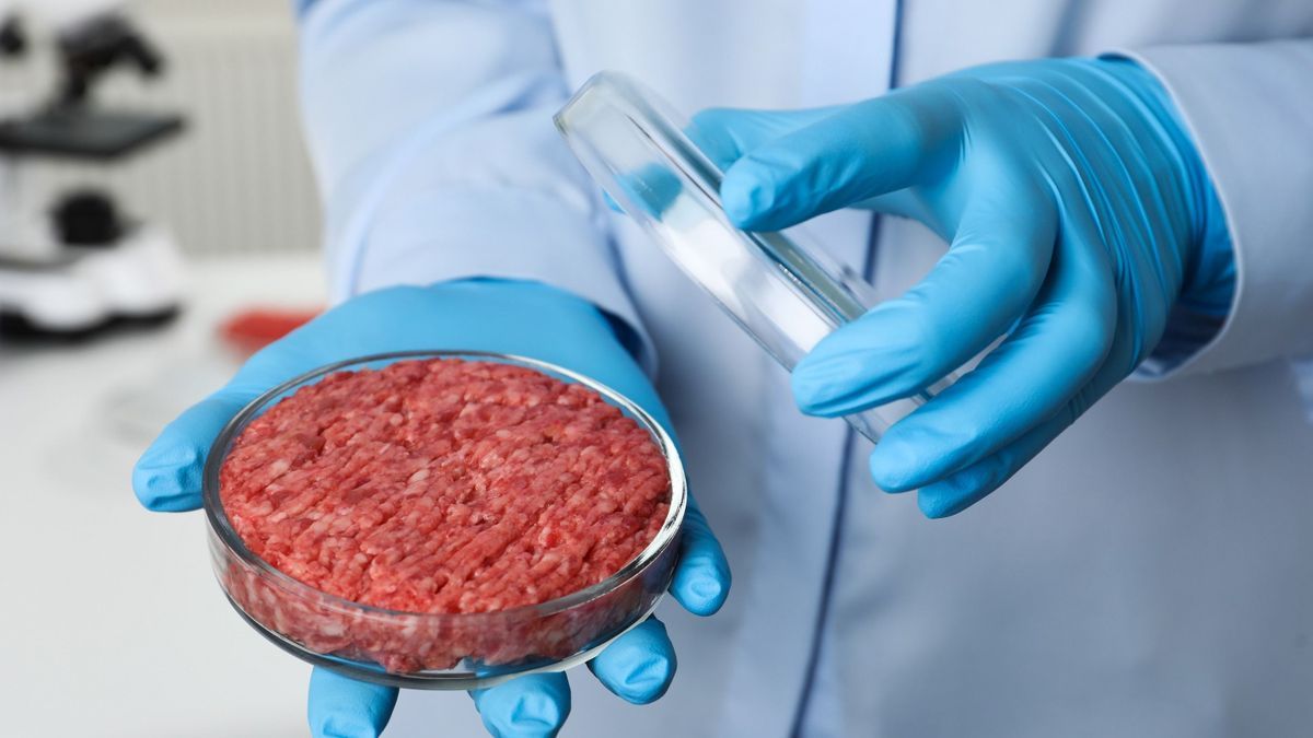 Florida in turn bans lab-grown meat