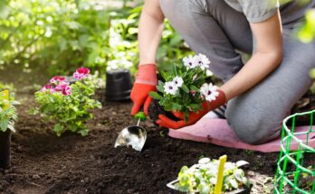 Gardening brings many health benefits