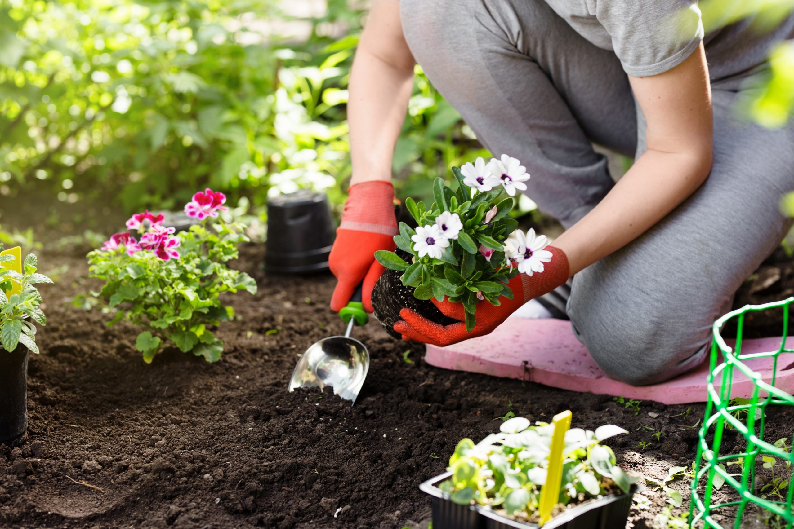 Gardening brings many health benefits