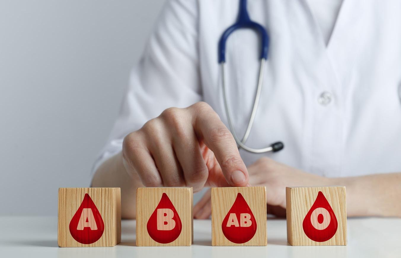 How to find out your blood type: what they are, compatibility