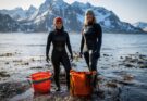 In northern Norway, seaweed as a gourmet delicacy