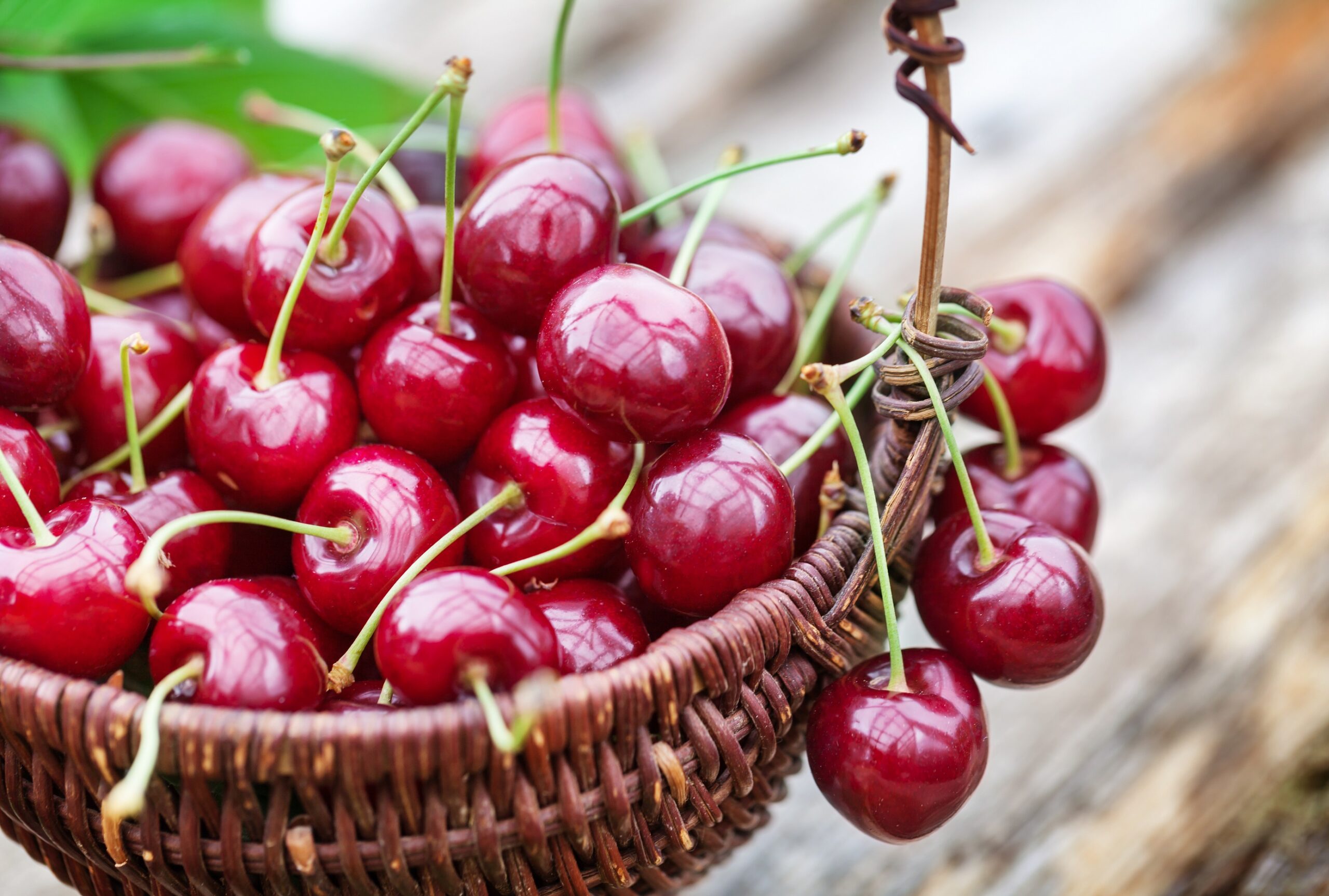 Nutrition: Cherries not only strengthen the cardiovascular system