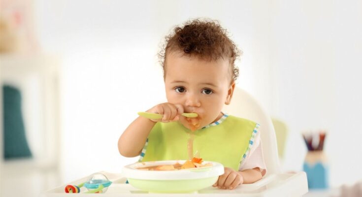 The 5 best food processors for babies
