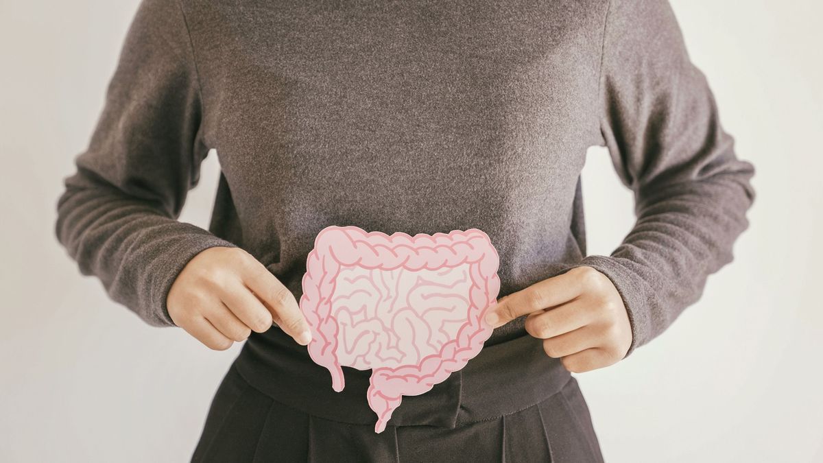 Your gut microbiota could influence your behavior and emotions