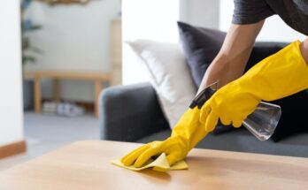 ​​This natural product cleans... but does not disinfect your home, according to a virologist