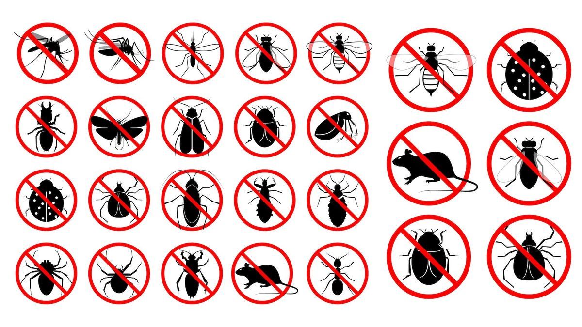 Alert on many toxic insecticides and repellents that should be banned from sale