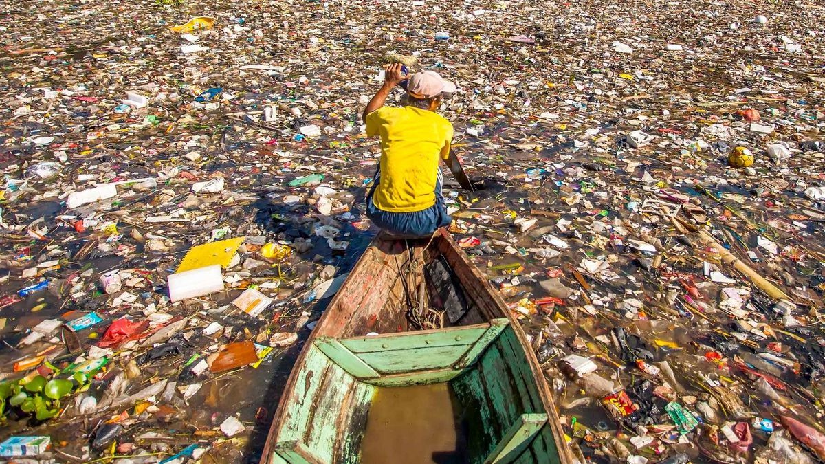 Which countries are most likely to eat microplastics?