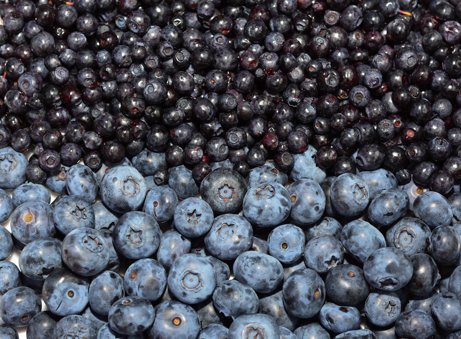 Blueberries taste watery and sweet, they do not have the same pronounced flavor as blackberries.