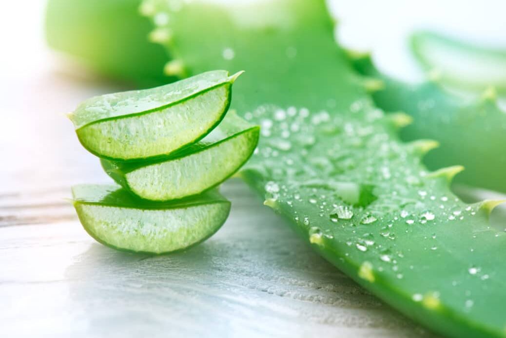 Aloe Vera not only helps skin and hair