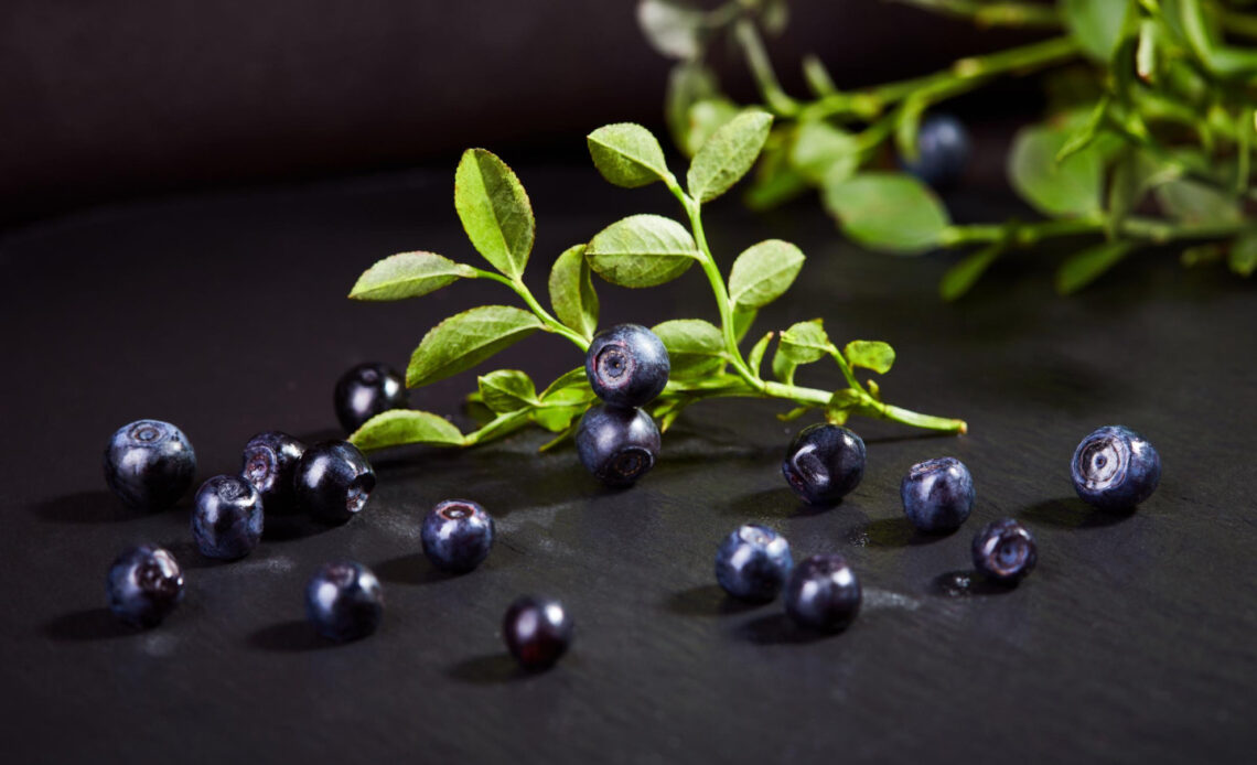 How blueberries differ from bilberries and what are their benefits for the body